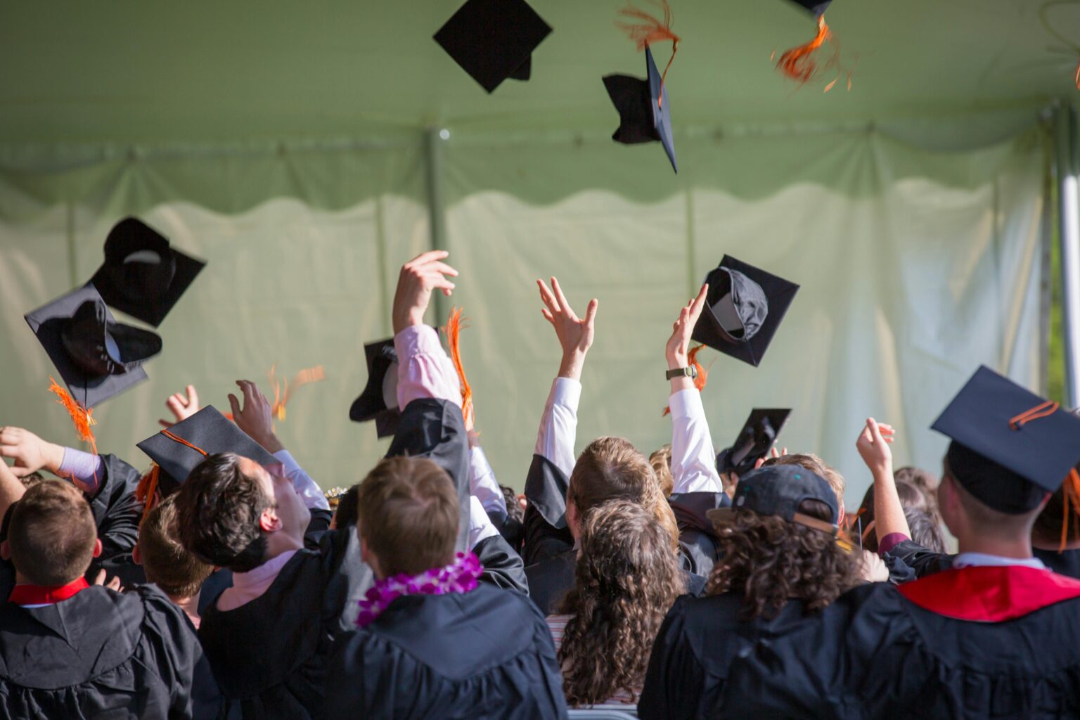 Studying in the USA: From Language to Master's Degree
