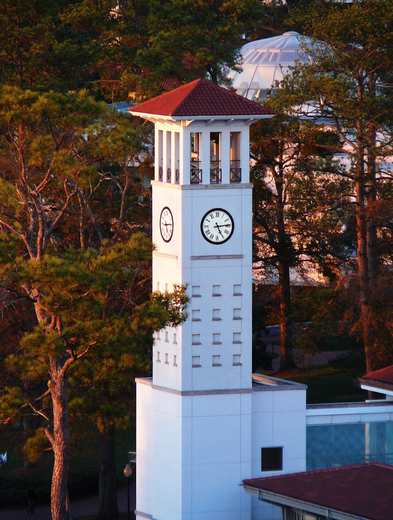 Emory University